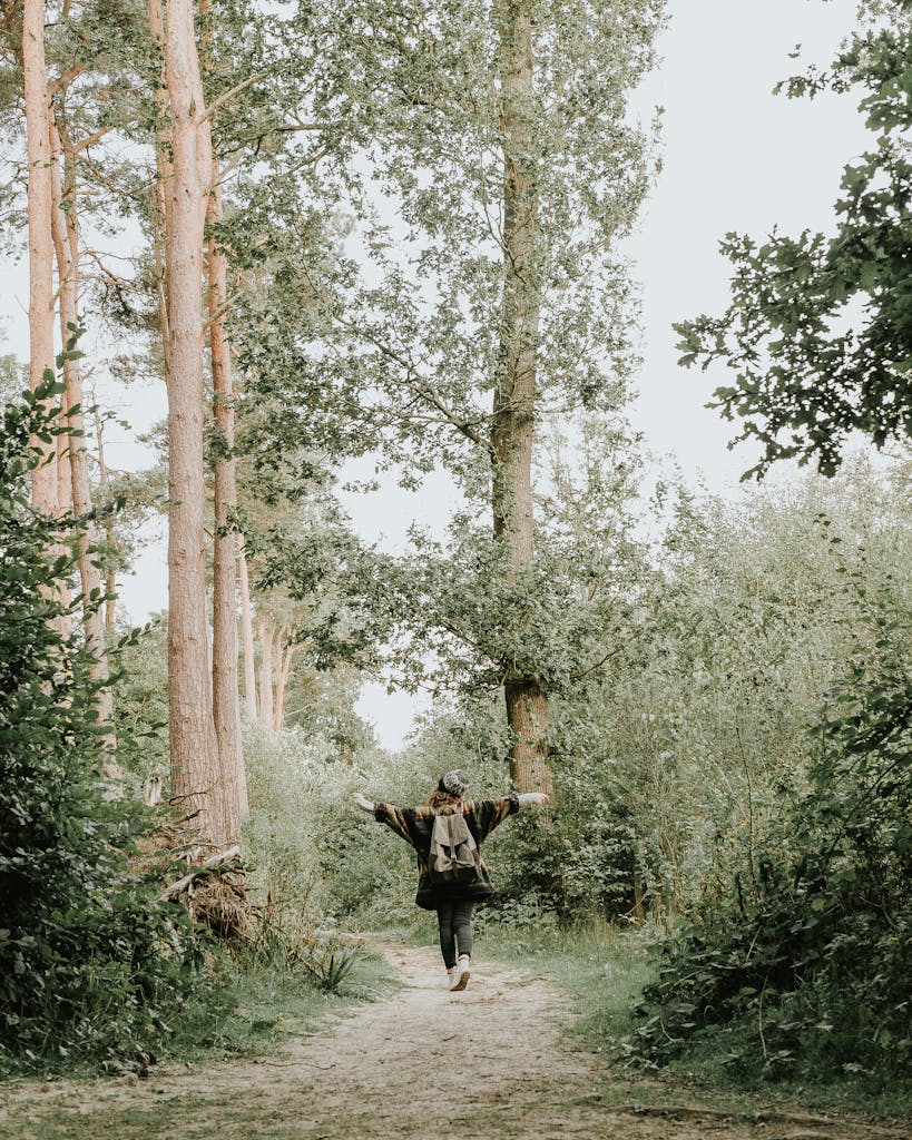 Person Walking On Pathway Near Trees
