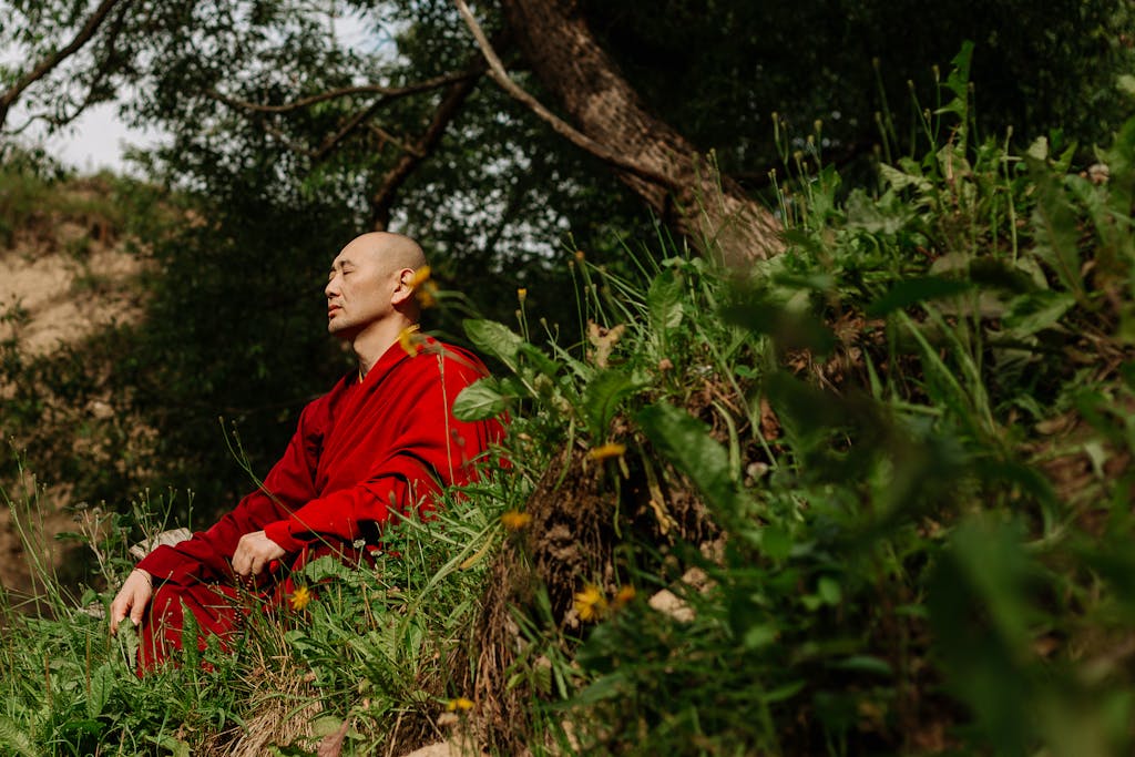 Serene scene of a monk meditating outdoors among lush greenery.